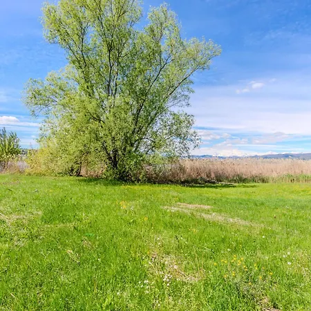 Bruna By Interhome Holiday home Dormelletto